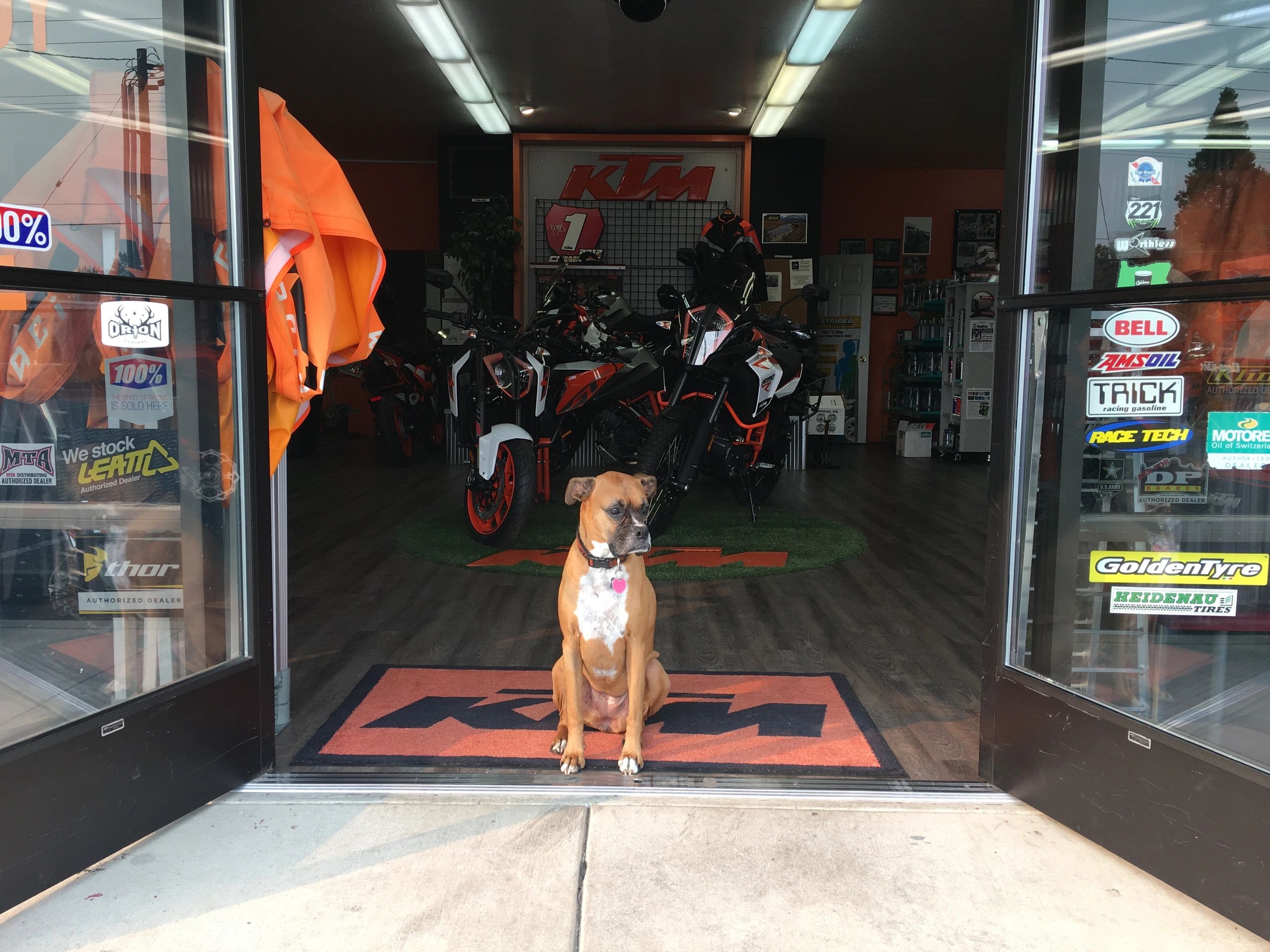 A look back at Oregon Motorcycle Adventures