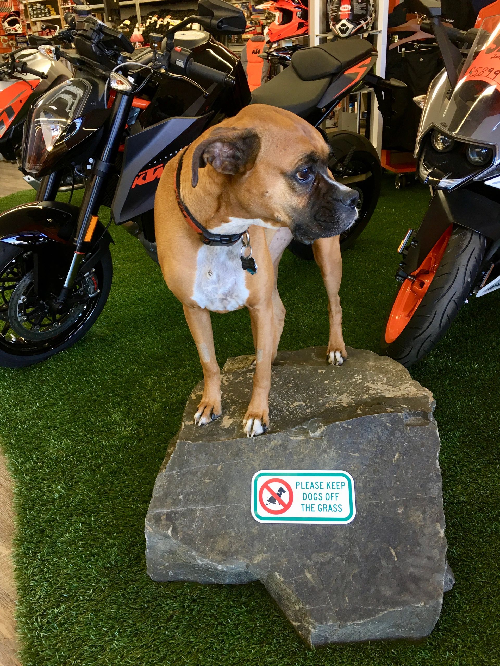 A look back at Oregon Motorcycle Adventures