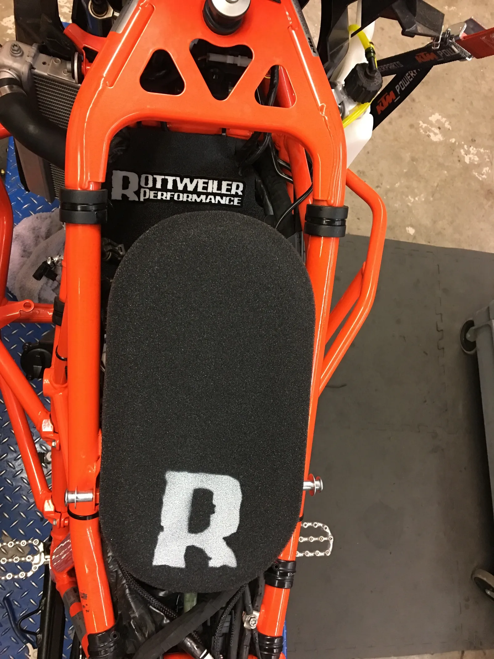 Rottweiler Intake